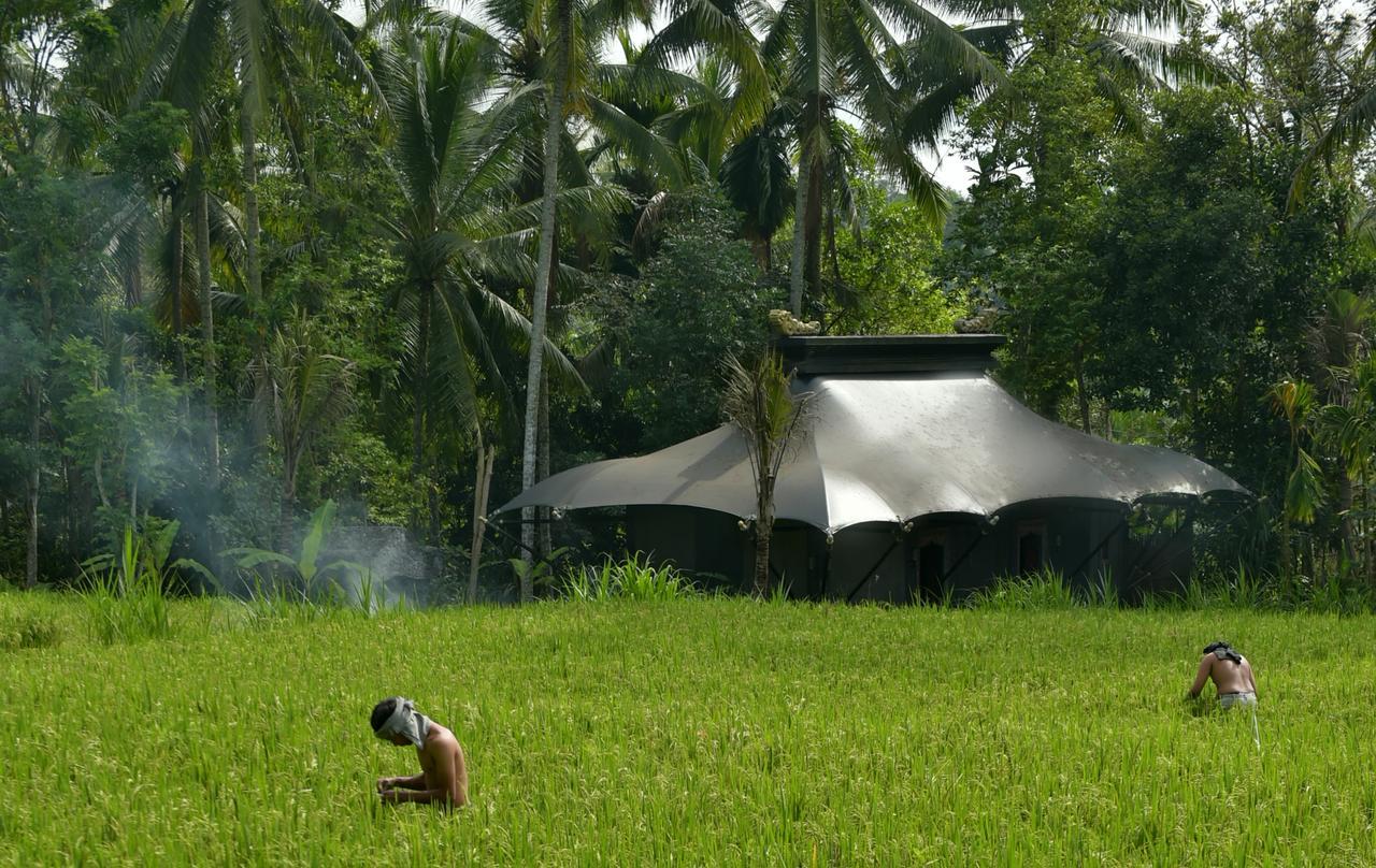 Capella Ubud, Bali מראה חיצוני תמונה