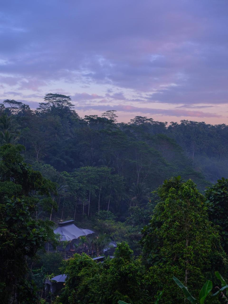 Capella Ubud, Bali מראה חיצוני תמונה