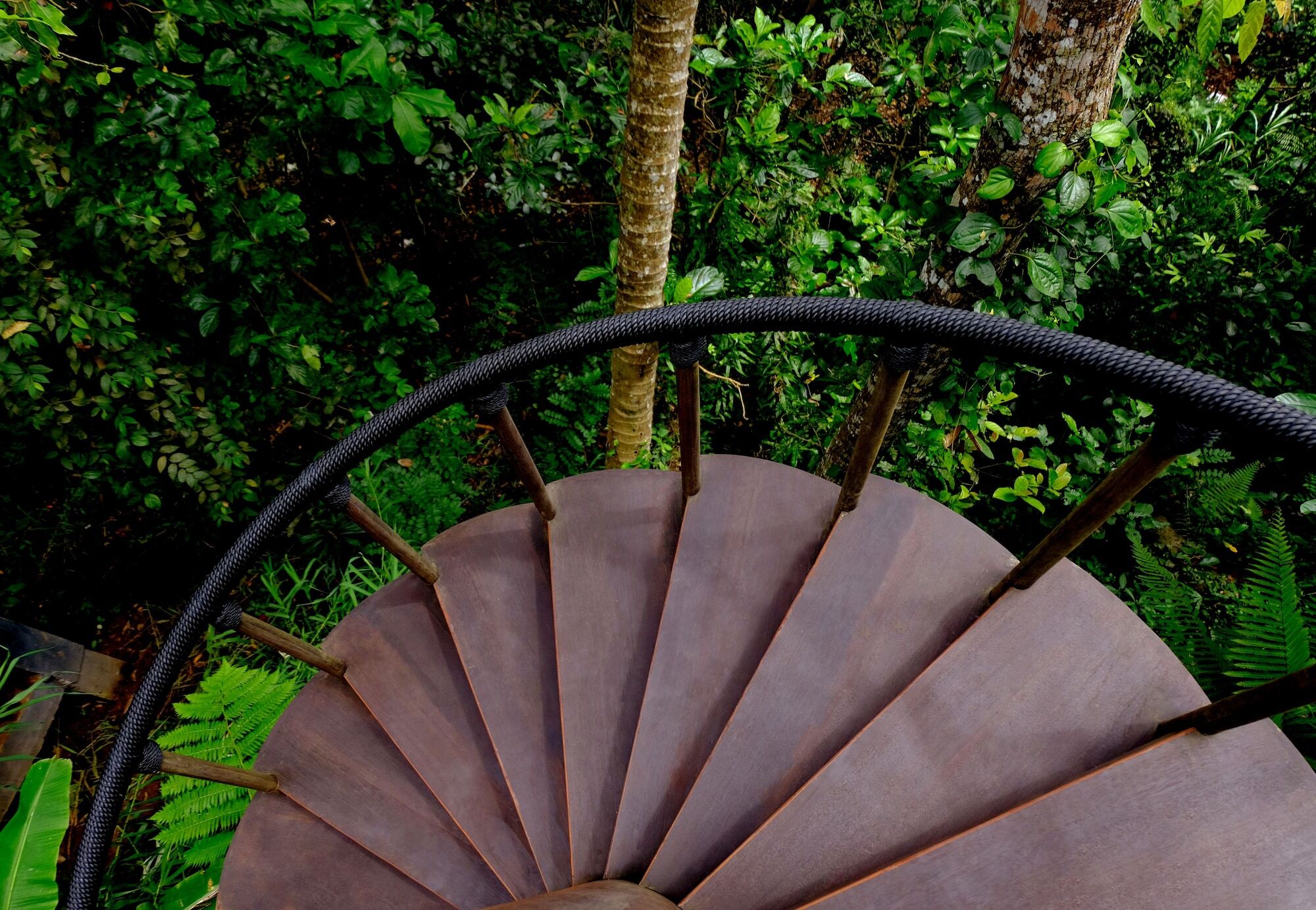 Capella Ubud, Bali מראה חיצוני תמונה